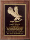 eagle plaque.JPG (85937 bytes)